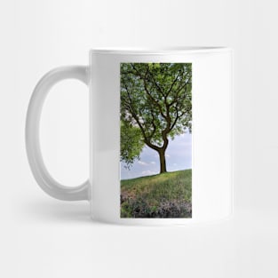 Terra Cont'd Mug